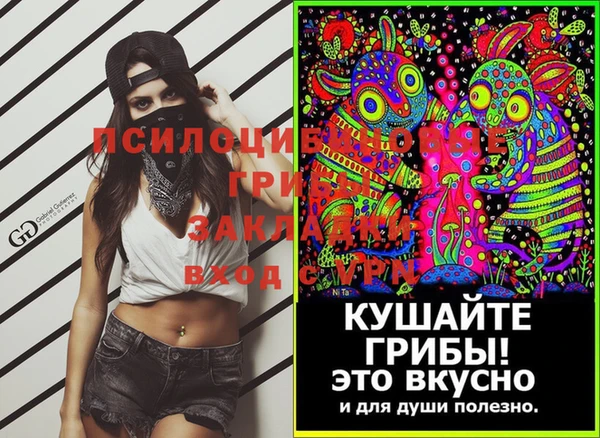 2c-b Липки