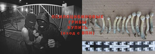 2c-b Липки