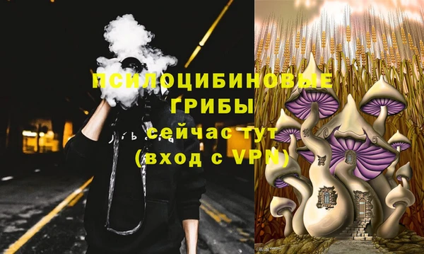 метадон Лихославль