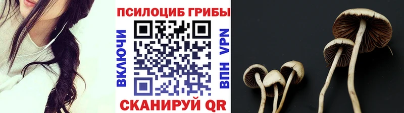 Псилоцибиновые грибы MAGIC MUSHROOMS  Купить где  Медногорск 